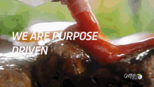 Griffith Purpose GIF - Griffith Purpose We Are Purpose Driven GIFs