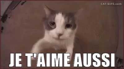 Je T Aime Aussi Gif Je Taime Aussi Descubre Comparte Gifs