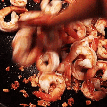 Shrimp Food GIF - Shrimp Food Cooking GIFs