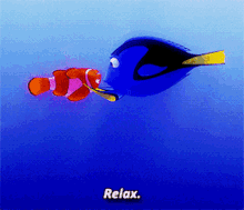 finding nemo dory relax just relax relaxing