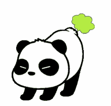 fart farting panda panda funny panda my life is jokes and funny lol