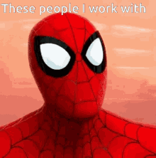 work people facepalm spider man