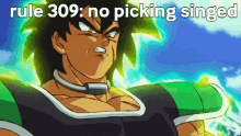 singed rule309