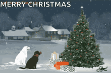 christmas tree lights eve christmas tree lights eve