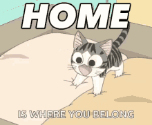 Home Cat GIF - Home Cat Happy GIFs