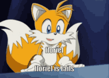 Floriel Tails GIF - Floriel Tails GIFs