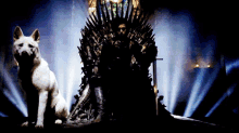 Game Of Thrones Dog GIF - Game Of Thrones Throne Dog GIFs