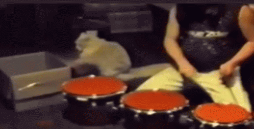 Drum GIF - Drum - Discover &amp; Share GIFs