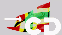 Cicin Zomi GIF - Cicin Zomi Flag GIFs