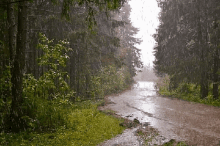 Raining Rainy Weather GIF - Raining Rainy Weather Raindrops GIFs