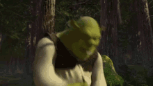 Shrek Shrek2 GIF - Shrek Shrek2 Shocked GIFs