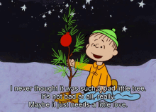 Snoopy Linus GIF - Snoopy Linus A Little Love GIFs