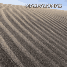 maspalomas visitmaspalomas visitgrancanaria lomas dunes