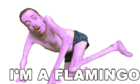 Im A Flamingo Ricky Berwick Sticker - Im A Flamingo Ricky Berwick Human Flamingo Stickers