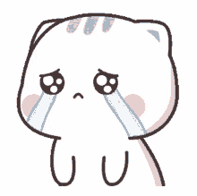 upset cry tears sob cat