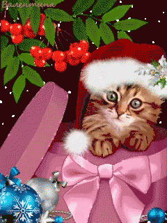 Cat Cherry GIF - Cat Cherry Animation - Discover & Share GIFs