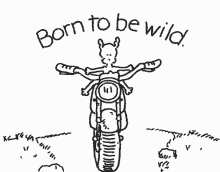 motorcycle motor born to be wild