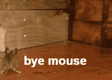 Bye Mouse Bye GIF - Bye Mouse Bye Mouse GIFs