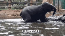 Gajah Besar GIF - Gendut Gemuk Fat GIFs