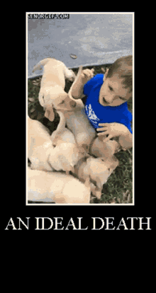 Death By GIF - Death By Puppy GIFs