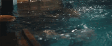 rise out of water george ezra hold my girl swimming in the water rise out of water george ezra hold my girl swimming in the water