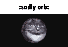 Sadly Orb Sadly Koorb GIF - Sadly Orb Sadly Koorb Koorb GIFs