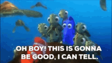Finding Nemo This Is Going To Be Good GIF - Finding Nemo This Is Going To Be Good Good GIFs