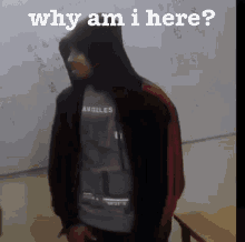 Why Am I Here GIFs | Tenor