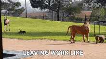 Leaving Work Like Running Away GIF - Leaving Work Like Running Away Fleeing GIFs