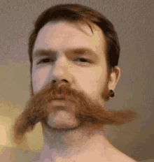 Moustache In GIF - Moustache In The GIFs