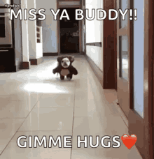Funny Animals GIF - Funny Animals Dogs GIFs