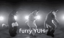 Furry Dance GIF - Furry Dance Single Ladies Dance GIFs