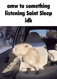 saint sleep
