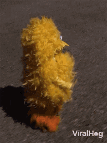 Cosplay Viralhog GIF - Cosplay Viralhog Big Bird GIFs
