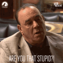 Are You That Stupid Are You Dumb GIF - Are You That Stupid Are You Dumb Seriously GIFs
