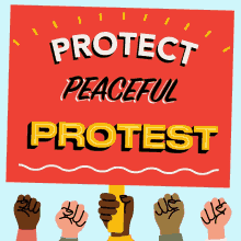 Protect Peaceful Protest Protest Peacefully GIF - Protect Peaceful Protest Protest Peacefully Protesting GIFs