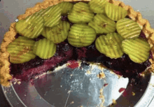 Cranberry Pickle Pie Utah GIF - Cranberry Pickle Pie Utah Nom Nom GIFs