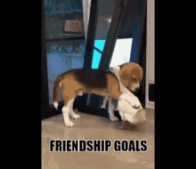 Friendship Hugs GIF - Friendship Hugs Duck And Dog GIFs