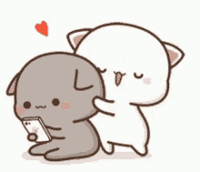 hug cats cute love texting