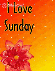 I Love Sunday आईलवसंडे GIF - I Love Sunday आईलवसंडे हैप्पीसंडे GIFs