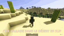 coopa j me ballade j me ballade dans le desert en slip mc minecraft coopa j me ballade j me ballade dans le desert en slip mc minecraft