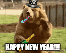New Years Bear GIF - New Years Bear Bear GIFs