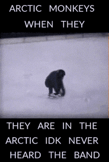 arctic monkeys back flip monkey arctic never heard the band