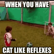 Cat Reflex GIF - Cat Reflex Soccer GIFs