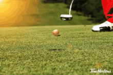 Tim Hortons Timbit GIF - Tim Hortons Timbit Golf GIFs