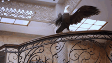 Baazigar Bird GIF - Baazigar Bird Dancing Bird GIFs