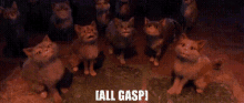 Puss In Boots Cats GIF - Puss In Boots Cats All Gasp GIFs