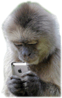 Monkey On The Phone Funny Sticker - Monkey On The Phone Funny Texting Stickers