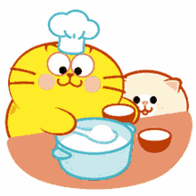 fat kitty cat cat cute cooking excited