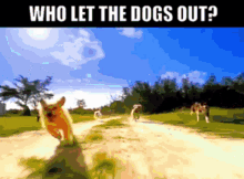Who Let The Dogs Out Baha Men GIF - Who Let The Dogs Out Baha Men Woof GIFs